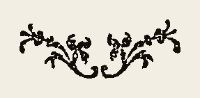 Border 1421