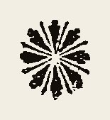 Ornament 0552