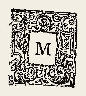 Ornament 0554