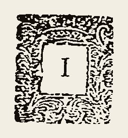 Ornament 0558