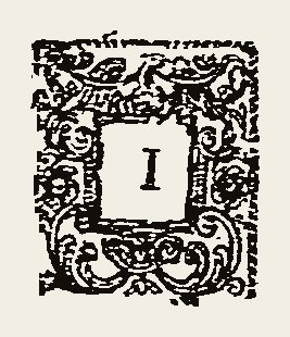 Ornament 0561
