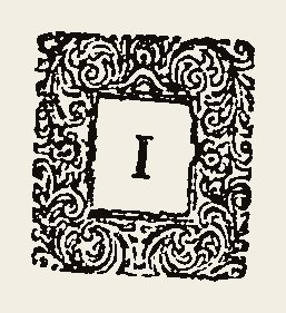Ornament 0565