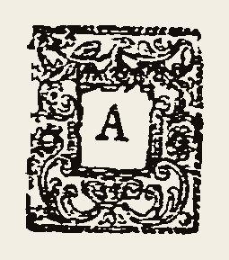 Ornament 0566