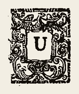 Ornament 0571