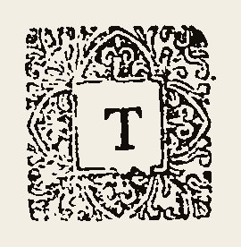 Ornament 0573