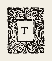 Ornament 0576
