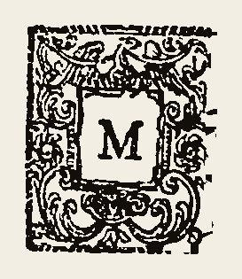 Ornament 0578