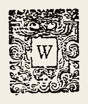 Ornament 0581