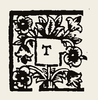 Ornament 0590