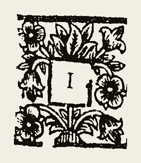 Ornament 0594