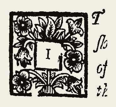 Ornament 0597