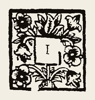Ornament 0600