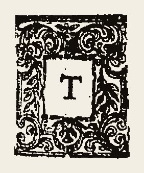 Ornament 0606