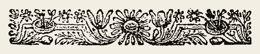 Border 1481