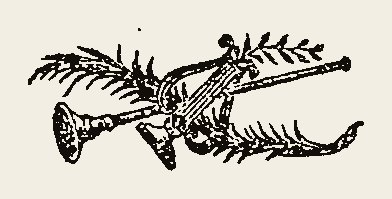Ornament 0627
