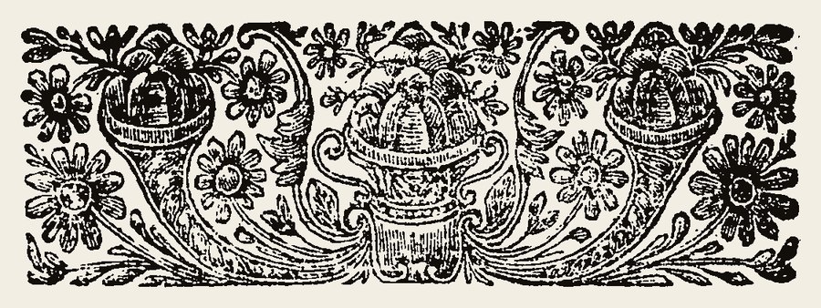 Border 1504