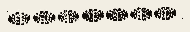 Border 1519