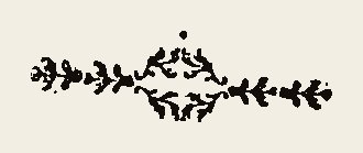Border 1568