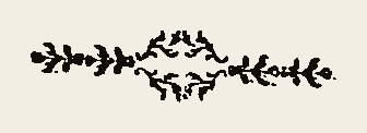 Border 1569