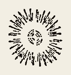 Ornament 0666