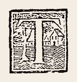 Ornament 0672