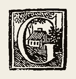 Ornament 0689