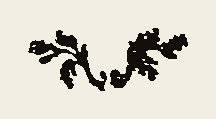Ornament 0690