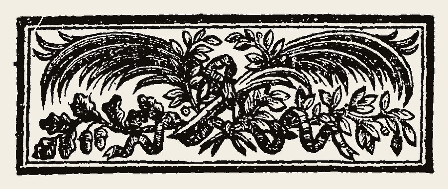 Border 1602