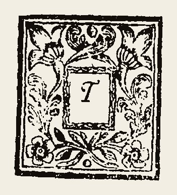 Ornament 0711