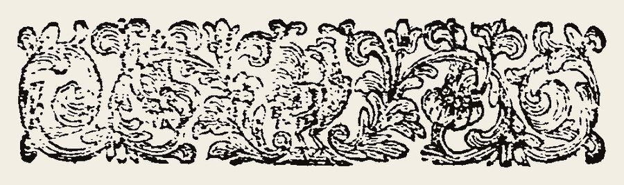 Border 1607