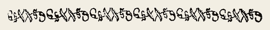 Border 1655