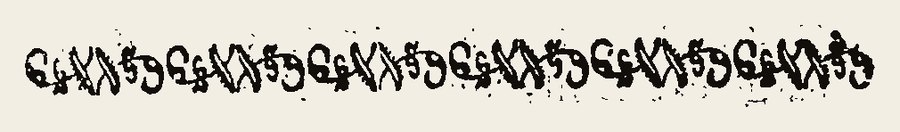 Border 1664