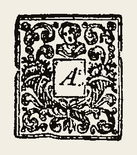Ornament 0733