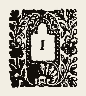 Ornament 0735