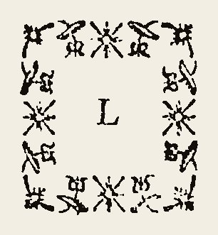 Ornament 0736