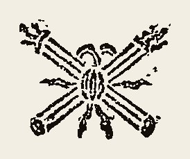 Ornament 0748