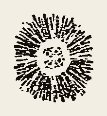 Ornament 0750
