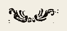 Ornament 0751
