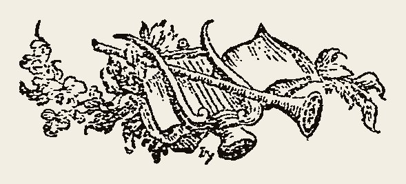 Border 1738