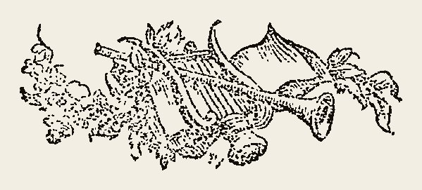 Ornament 0766
