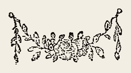 Cut 0095