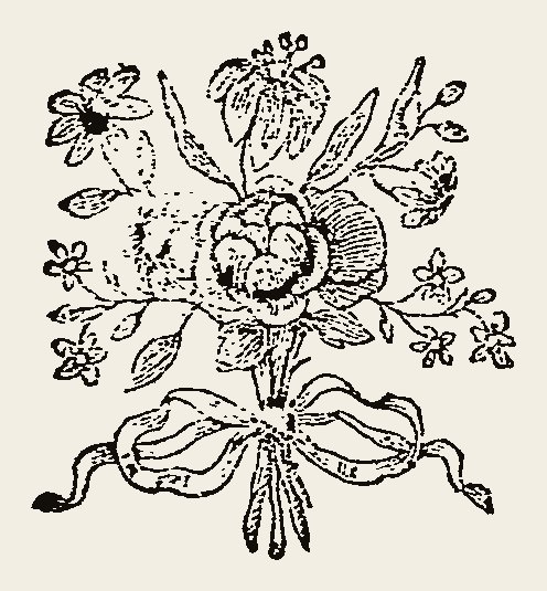 Ornament 0768