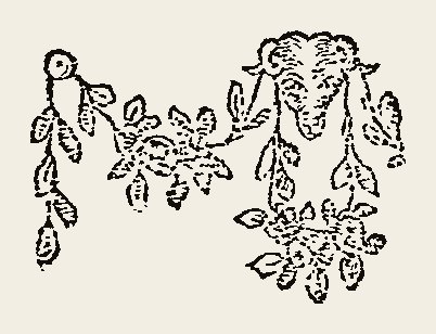 Cut 0096