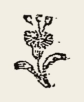 Ornament 0776