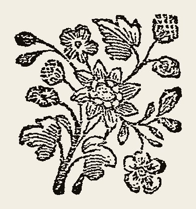 Ornament 0778