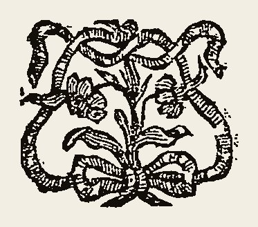 Ornament 0783
