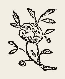 Ornament 0784
