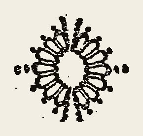 Ornament 0787