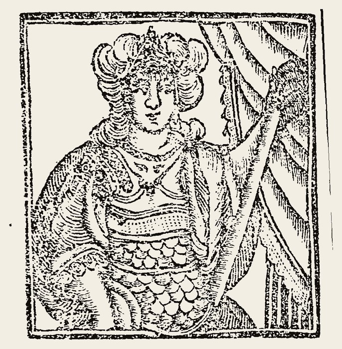 Ornament 0791