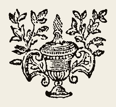 Ornament 0802